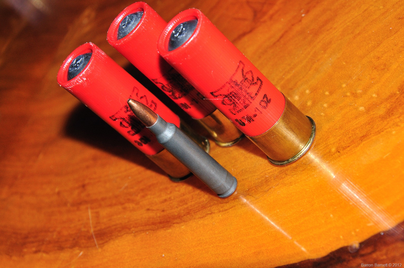 Rifle vs shotgun the minuteman